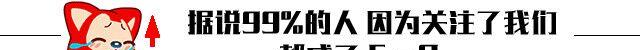 贾乃亮喜得双胞胎