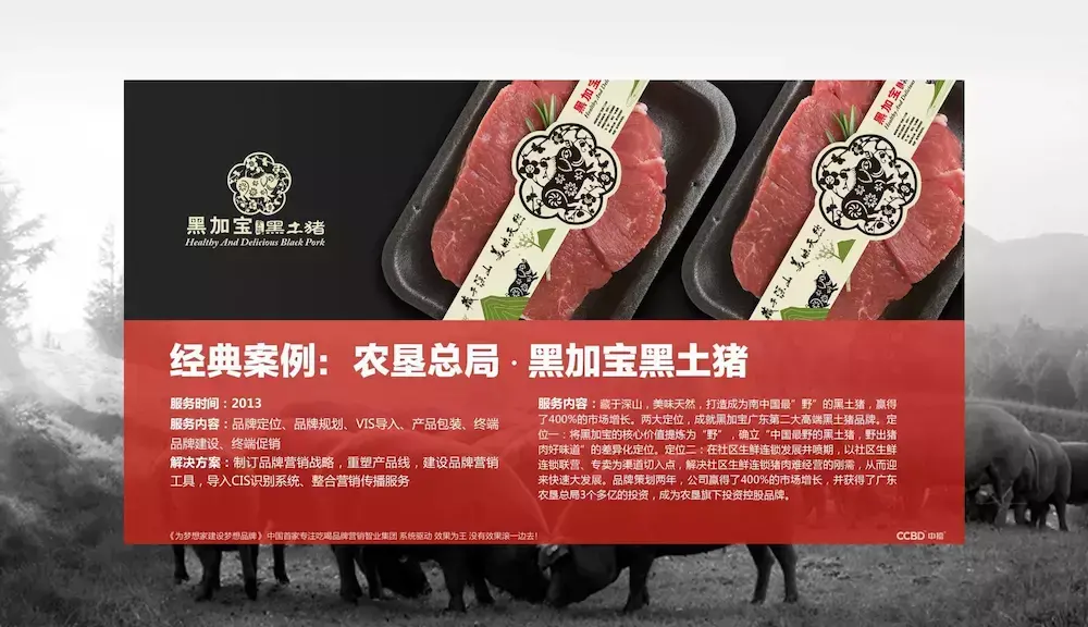 猪肉营销推广方案策划书(猪肉营销推广方案策划公司)