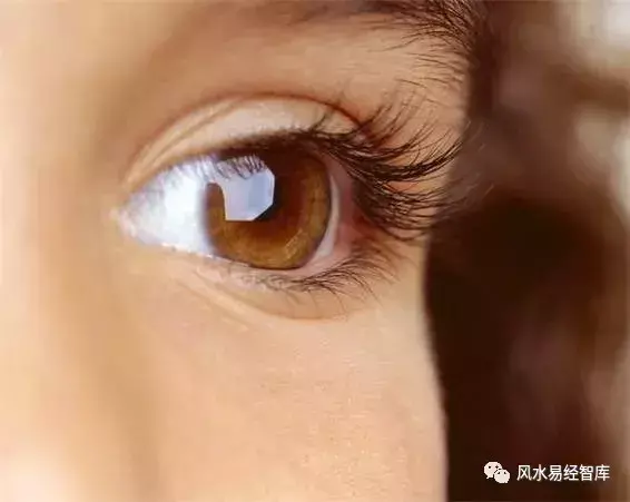 男人左眼跳是什么预兆周公解梦(女人白天左眼跳是什么预兆周公解梦)