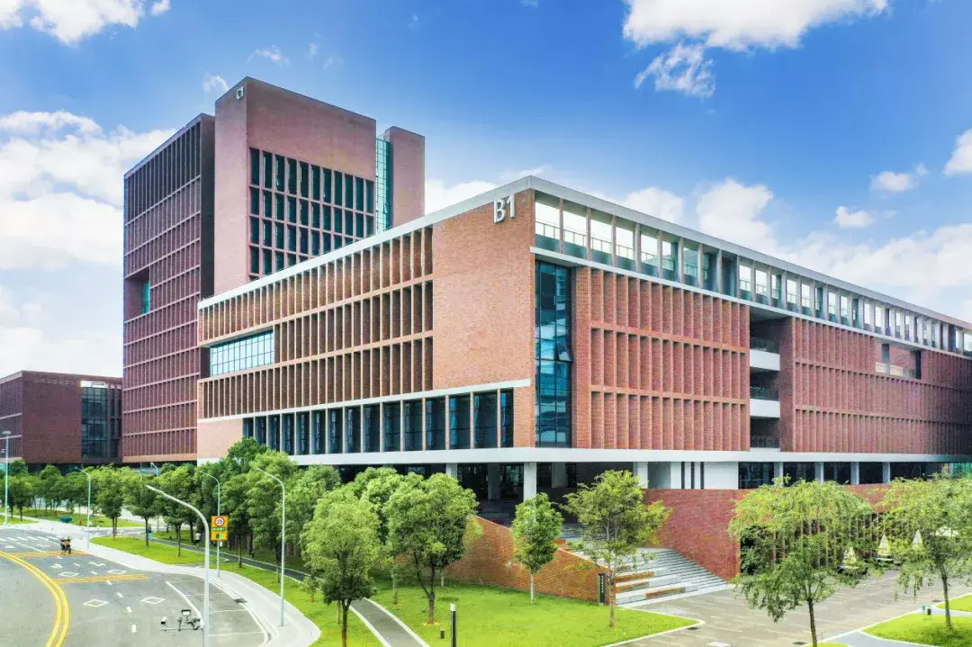 什么是数据科学与大数据(科学与大数据技术专业学什么)