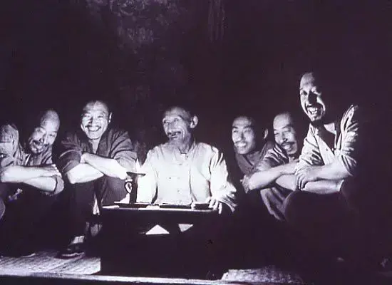 鬼子来了影评分析镜头(鬼子来了影评800字)