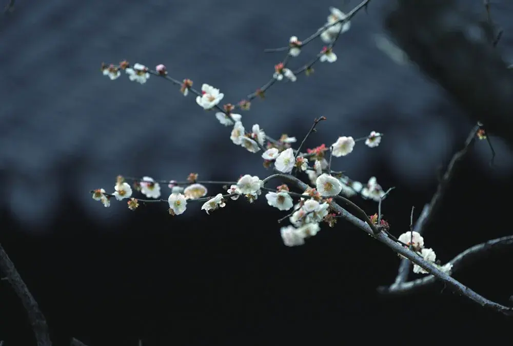 男人喜欢你的表现(男人对你动心的6个表现)