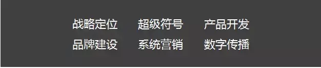 猪肉营销推广方案策划书(猪肉营销推广方案策划公司)