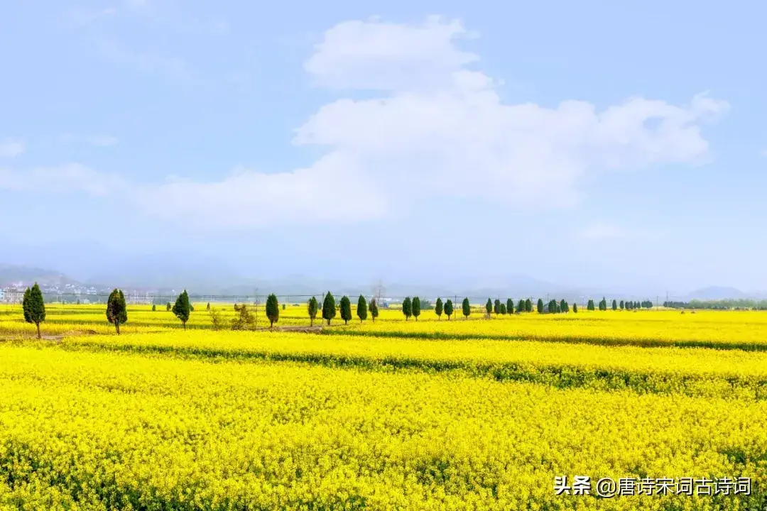 热文寒食城东即事原文作者是谁(寒食城东即事原文作者)