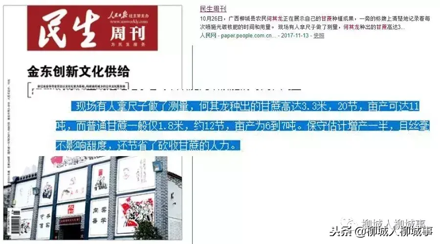 一根甘蔗多少斤左右（一根甘蔗一般多少斤）