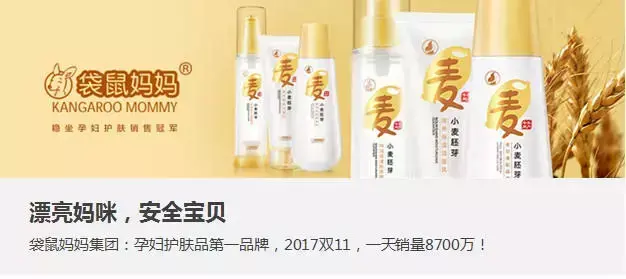 猪肉营销推广方案策划书(猪肉营销推广方案策划公司)