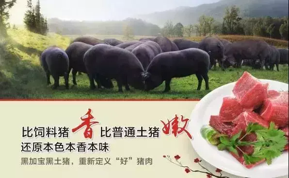 猪肉营销推广方案策划书(猪肉营销推广方案策划公司)