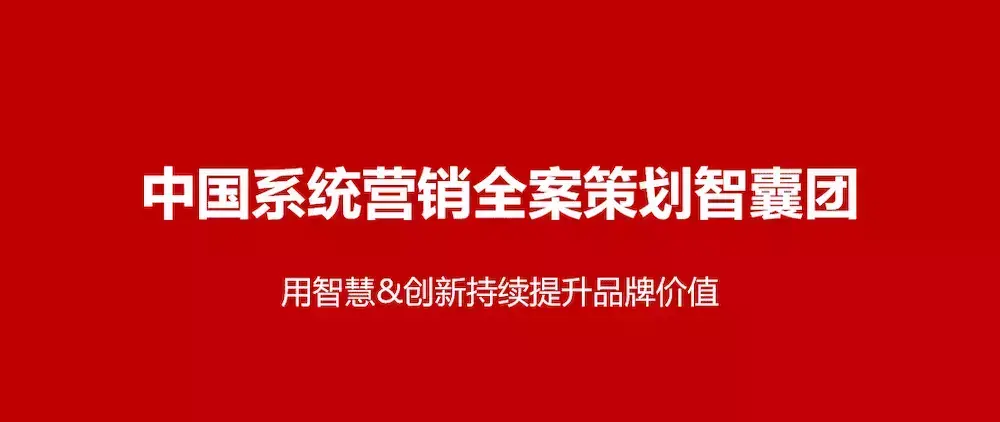 猪肉营销推广方案策划书(猪肉营销推广方案策划公司)