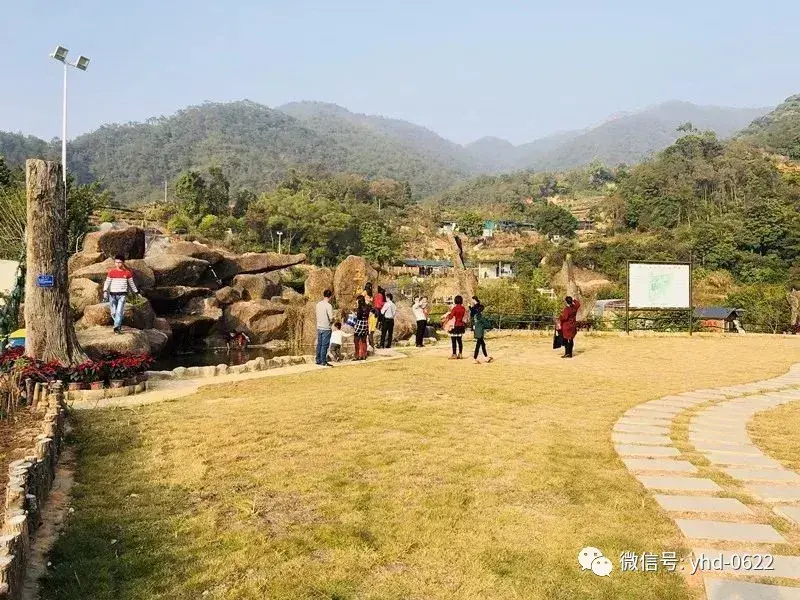 揭阳网红景点有哪些(广东揭阳网红景点空港花海)