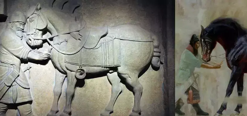 中国古代所有名马排名都有哪些(中国古代十大名马排行榜)