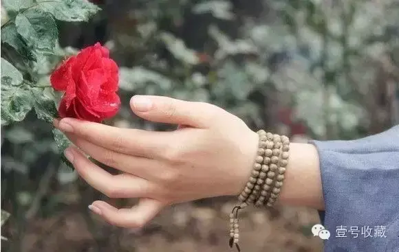 小叶紫檀适合什么人带(小叶紫檀手串适合女士带吗)
