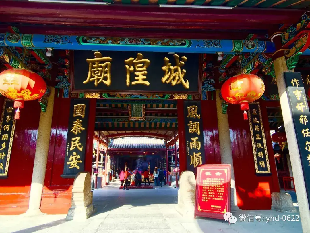 揭阳网红景点有哪些(广东揭阳网红景点空港花海)