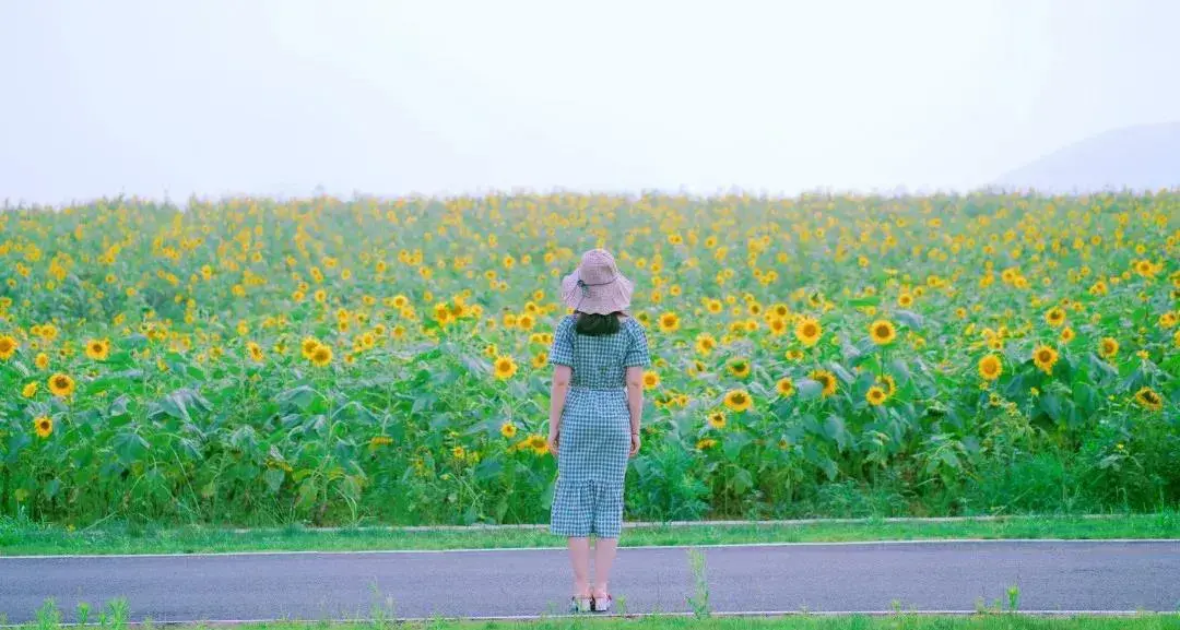 巢湖有什么好玩的地方或景点(巢湖一日游攻略)