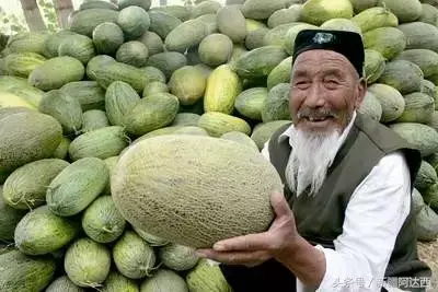 新疆十大特产排名(新疆最有名的特产有哪些)