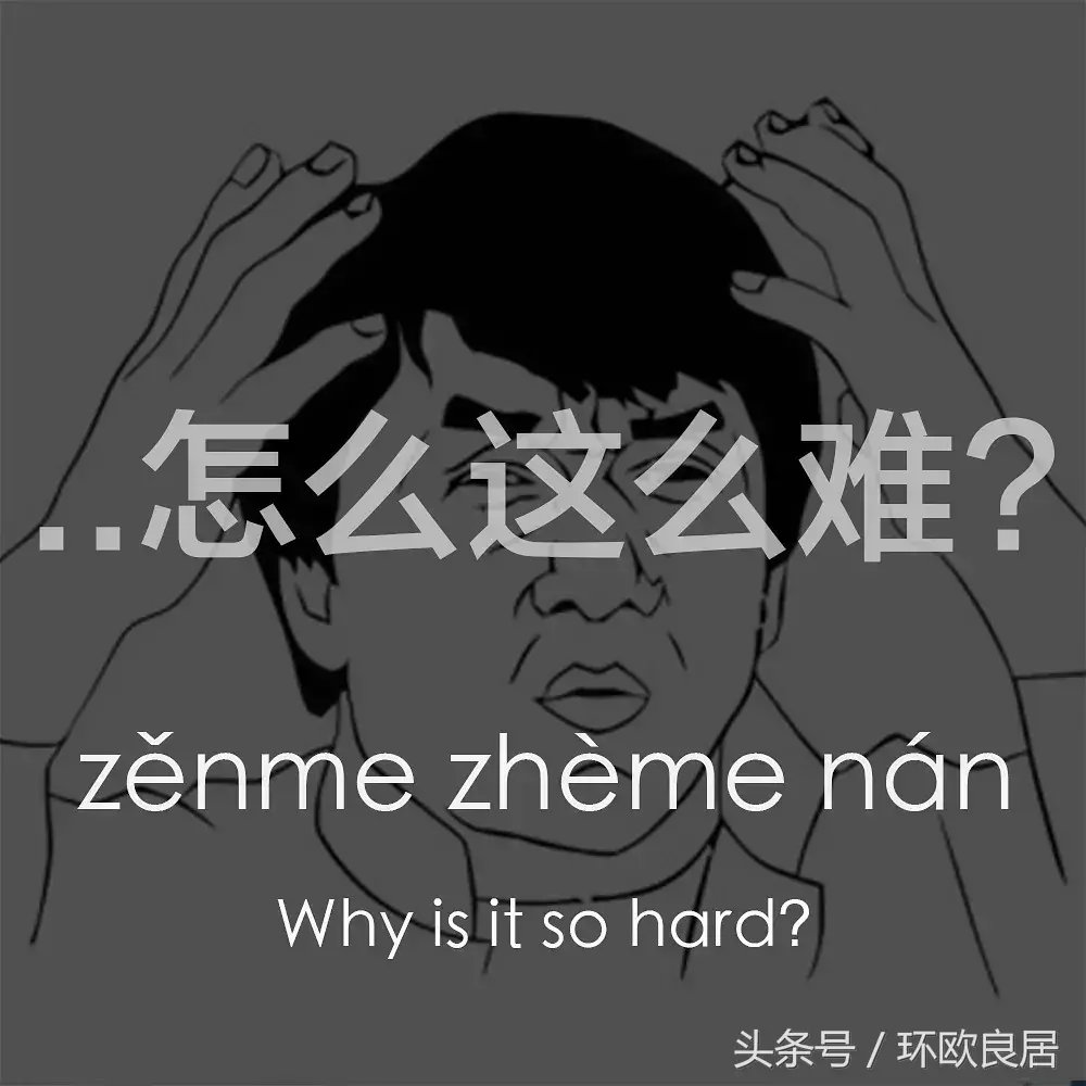 荷兰语好学吗(荷兰语难学吗知乎 )
