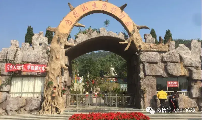 揭阳网红景点有哪些(广东揭阳网红景点空港花海)