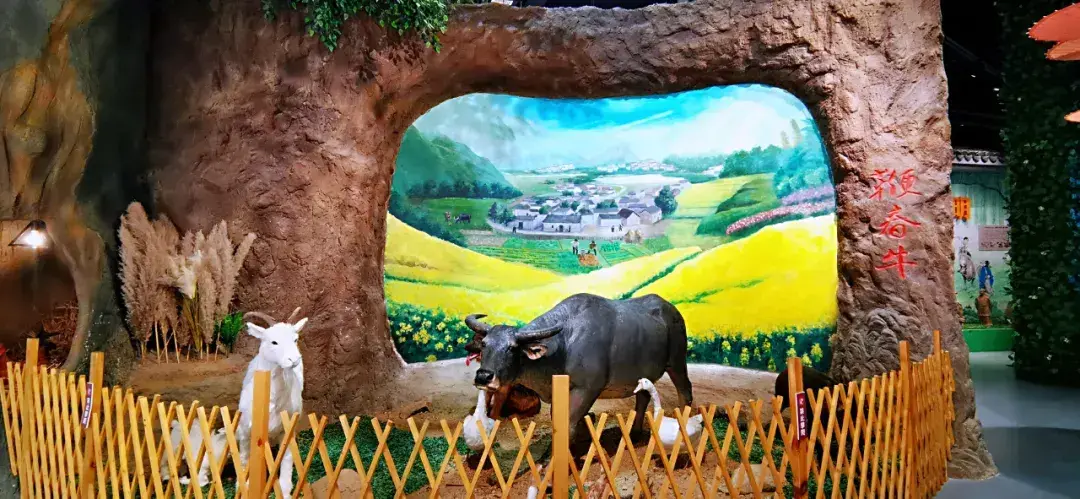 巢湖有什么好玩的地方或景点(巢湖一日游攻略)