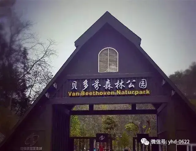 揭阳网红景点有哪些(广东揭阳网红景点空港花海)