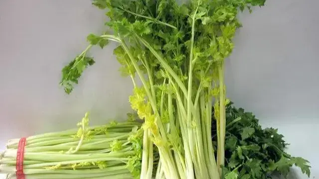 青岛能带走的十大特产(青岛有什么值得带回去的特产)