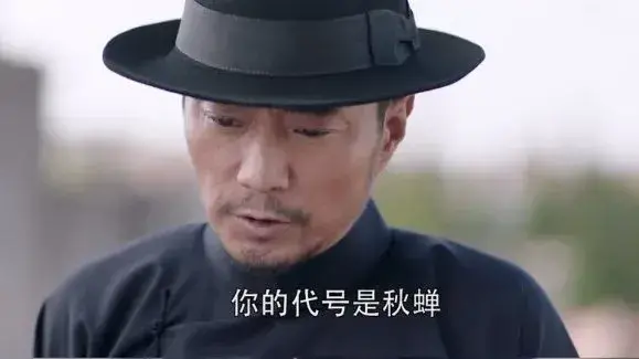 秋蝉共有几多集(秋蝉多少集一共)