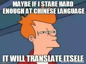 荷兰语好学吗(荷兰语难学吗知乎 )