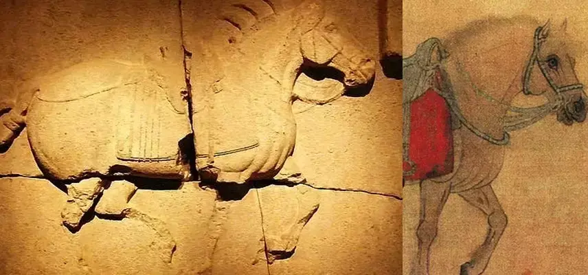 中国古代所有名马排名都有哪些(中国古代十大名马排行榜)