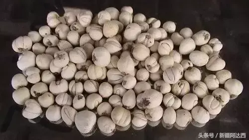 新疆十大特产排名(新疆最有名的特产有哪些)
