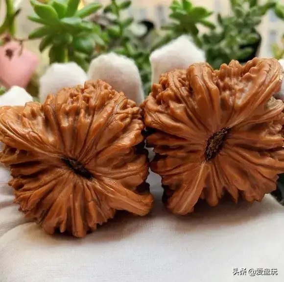 值得玩一辈子的文玩有哪些(老年人适合玩什么文玩)