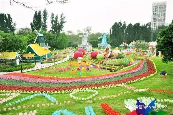 揭阳网红景点有哪些(广东揭阳网红景点空港花海)