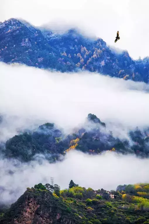 德阳附近的旅游景点哪里好玩（德阳周边游玩景点推荐）