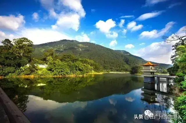 广西有哪些城市名字(广西省的所有城市名称)
