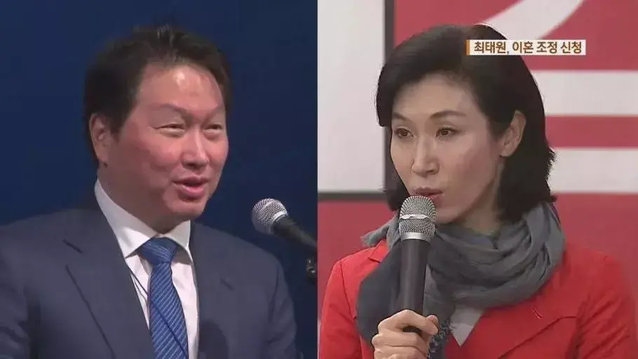 崔泰源与卢素英的世纪离婚案(崔泰源哪年出生的)