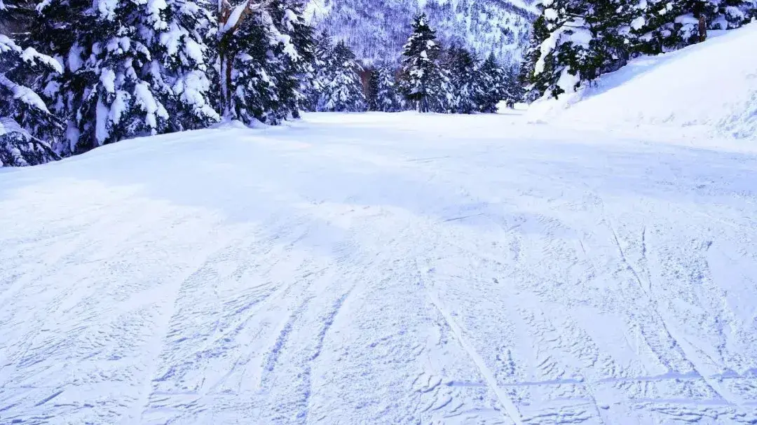 哈尔滨滑雪场哪个好玩(哈尔滨附近滑雪场排名)