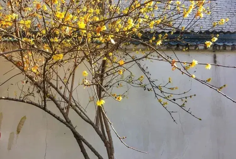咸宁温泉谷度假区怎么样(咸宁一日游最佳路线)