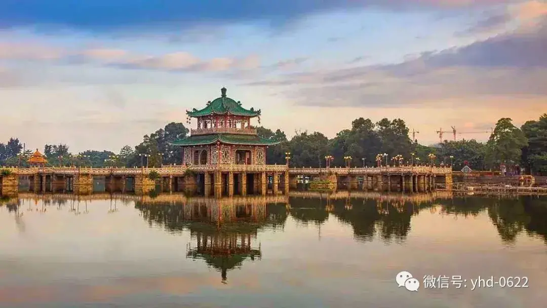 揭阳网红景点有哪些(广东揭阳网红景点空港花海)