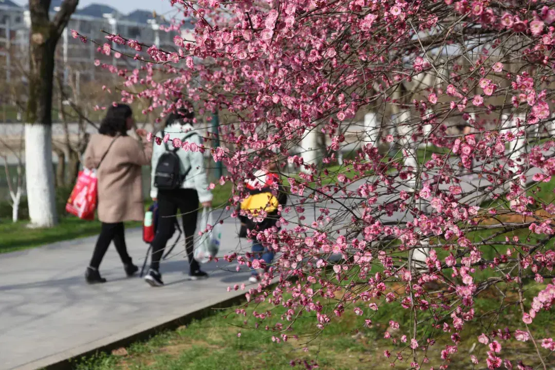 咸宁温泉谷度假区怎么样(咸宁一日游最佳路线)