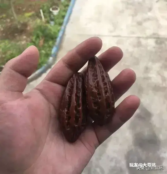 值得玩一辈子的文玩有哪些(老年人适合玩什么文玩)