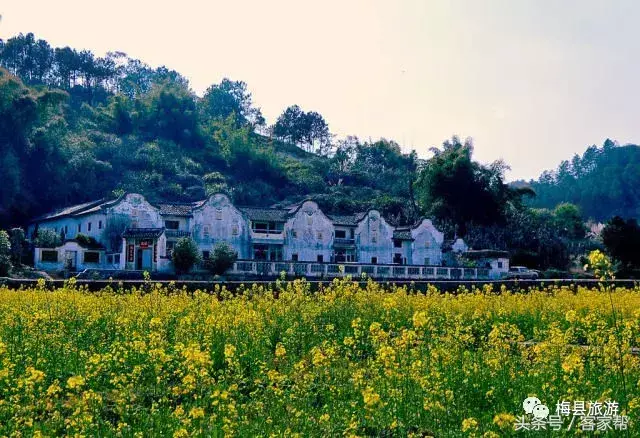 桥溪村古民居建筑群(中国特色民居建筑有哪些)