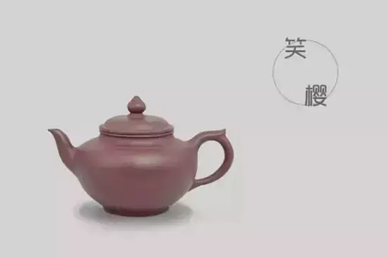 紫砂壶壶型大全图谱(紫砂壶的壶型种类图解)