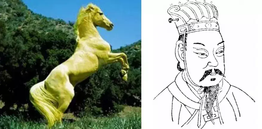 中国古代所有名马排名都有哪些(中国古代十大名马排行榜)