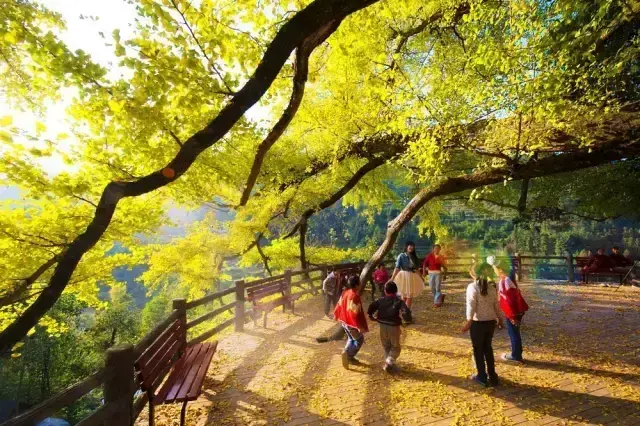 贵州有什么好玩的古镇(盘点贵州好玩的古镇旅游景点)