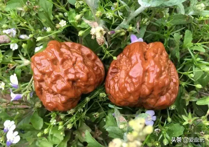 值得玩一辈子的文玩有哪些(老年人适合玩什么文玩)
