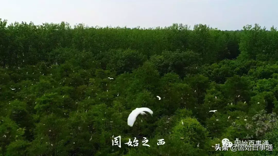 固始县人口2022总人数多少(固始县人口最多的镇)