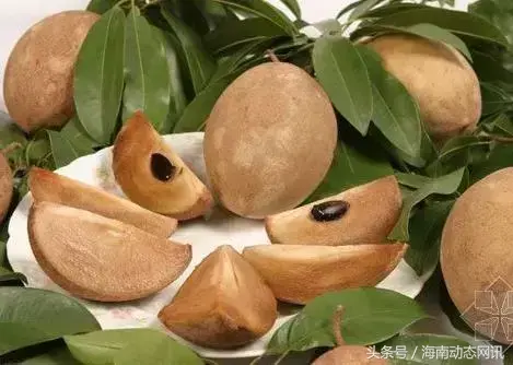 三亚水果特产有哪些(三亚的特色水果介绍及图片)