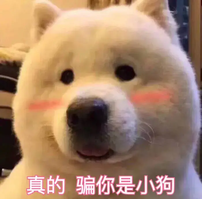 巢湖有什么好玩的地方或景点(巢湖一日游攻略)