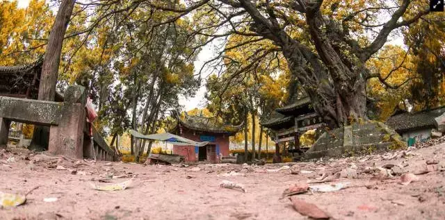 德阳附近的旅游景点哪里好玩（德阳周边游玩景点推荐）