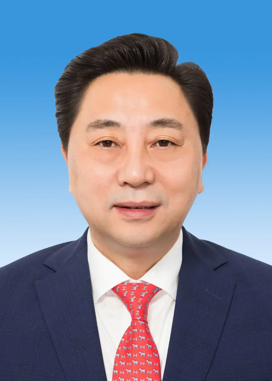 镇江市长(镇江市市长徐曙海履历)