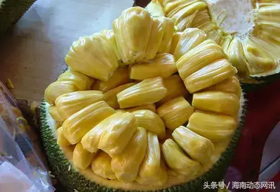 三亚水果特产有哪些(三亚的特色水果介绍及图片)