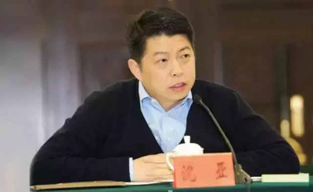 沈亚的个人资料简介(唯品会创始人沈亚是哪里人)