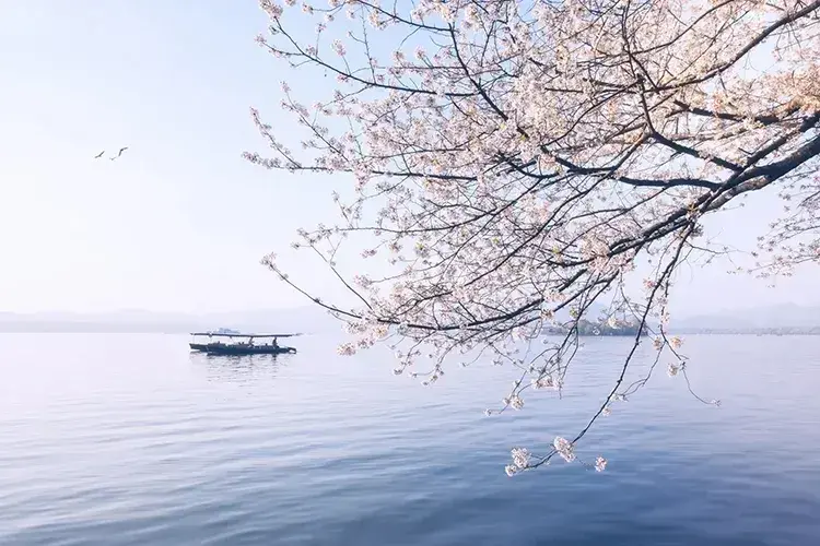 春天到来的诗句有哪些,描写春天的古诗大全
